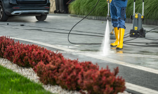 Best Factory Floor Cleaning  in New Madrid, MO