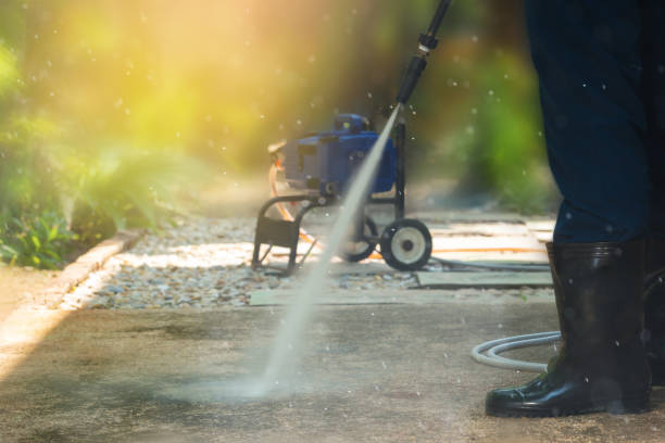 Best Roof Washing  in New Madrid, MO