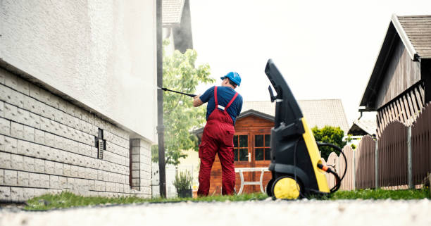 Best Sidewalk and Walkway Cleaning  in New Madrid, MO